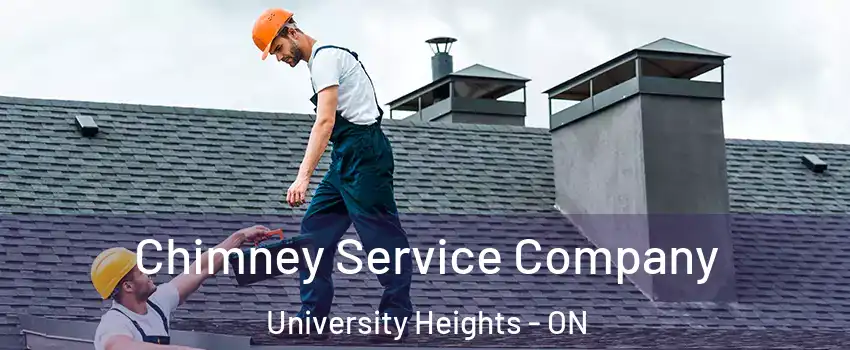 Chimney Service Company University Heights - ON