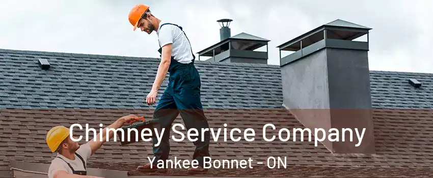 Chimney Service Company Yankee Bonnet - ON