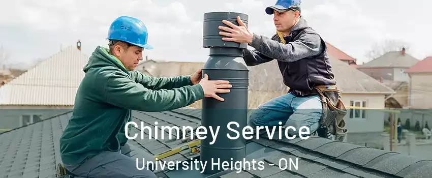  Chimney Service University Heights - ON