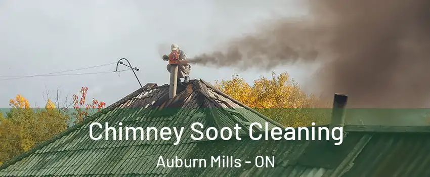 Chimney Soot Cleaning Auburn Mills - ON