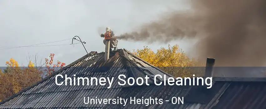Chimney Soot Cleaning University Heights - ON