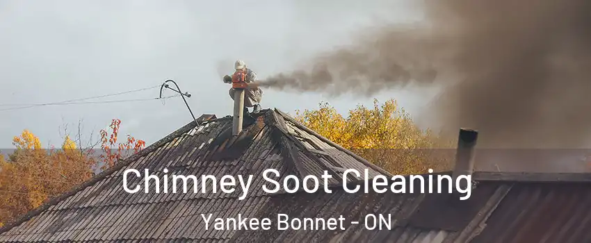  Chimney Soot Cleaning Yankee Bonnet - ON
