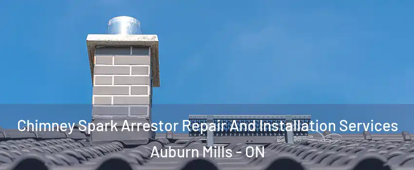  Chimney Spark Arrestor Repair And Installation Services Auburn Mills - ON