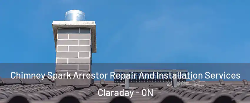 Chimney Spark Arrestor Repair And Installation Services Claraday - ON