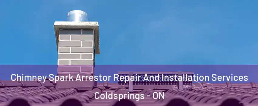 Chimney Spark Arrestor Repair And Installation Services Coldsprings - ON