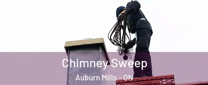  Chimney Sweep Auburn Mills - ON