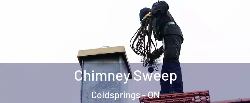  Chimney Sweep Coldsprings - ON