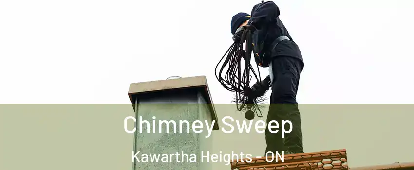  Chimney Sweep Kawartha Heights - ON