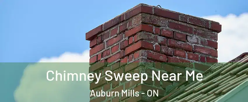 Chimney Sweep Near Me Auburn Mills - ON