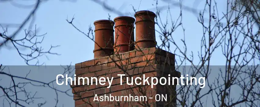 Chimney Tuckpointing Ashburnham - ON