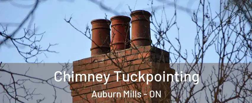 Chimney Tuckpointing Auburn Mills - ON