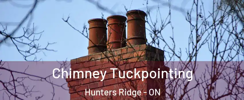 Chimney Tuckpointing Hunters Ridge - ON