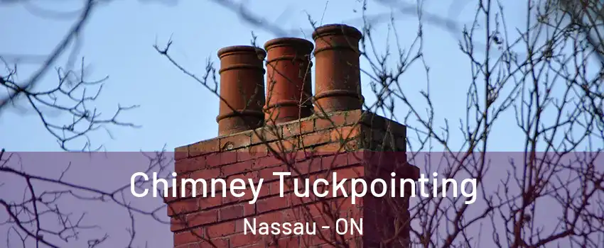 Chimney Tuckpointing Nassau - ON