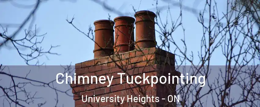  Chimney Tuckpointing University Heights - ON