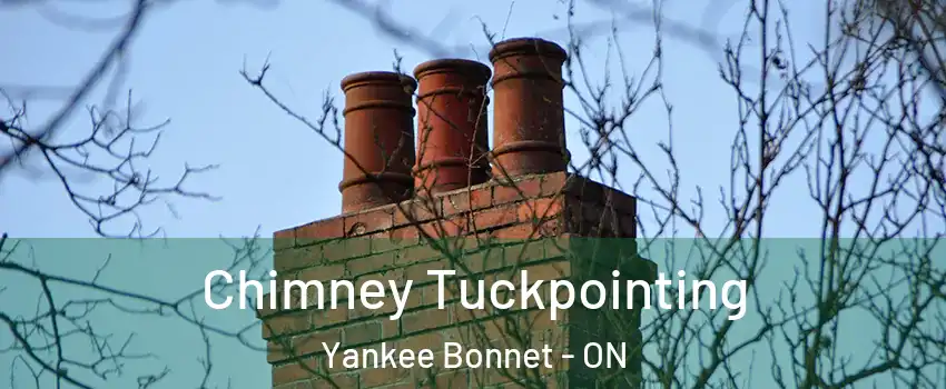  Chimney Tuckpointing Yankee Bonnet - ON