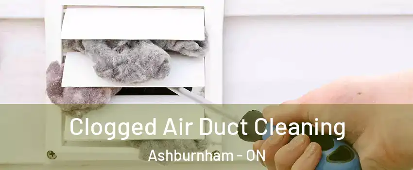  Clogged Air Duct Cleaning Ashburnham - ON