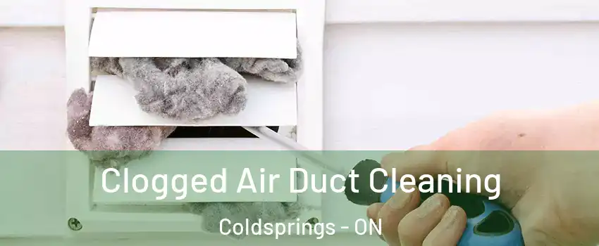 Clogged Air Duct Cleaning Coldsprings - ON