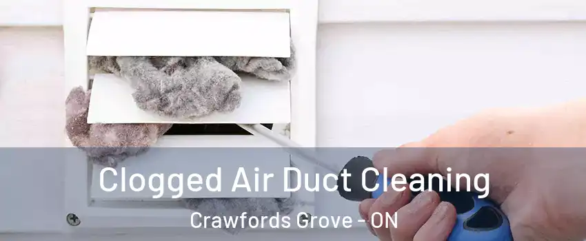 Clogged Air Duct Cleaning Crawfords Grove - ON