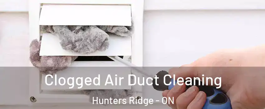  Clogged Air Duct Cleaning Hunters Ridge - ON