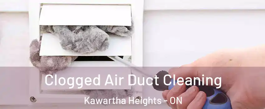  Clogged Air Duct Cleaning Kawartha Heights - ON