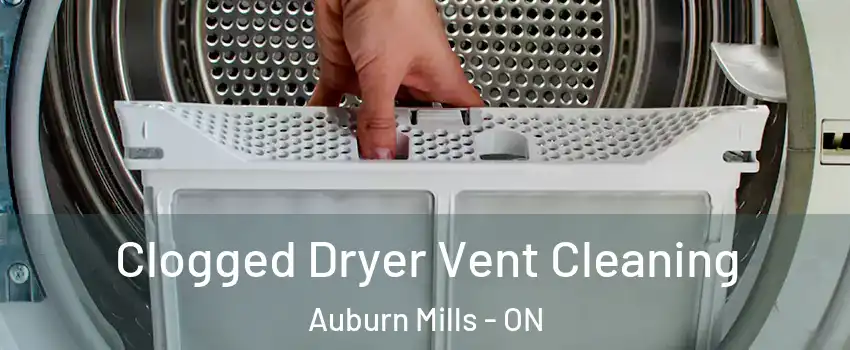  Clogged Dryer Vent Cleaning Auburn Mills - ON