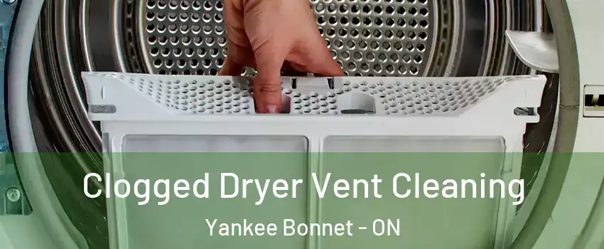 Clogged Dryer Vent Cleaning Yankee Bonnet - ON