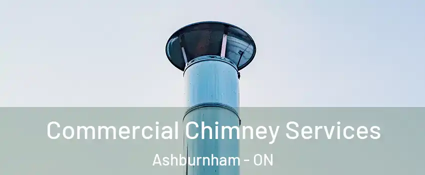  Commercial Chimney Services Ashburnham - ON