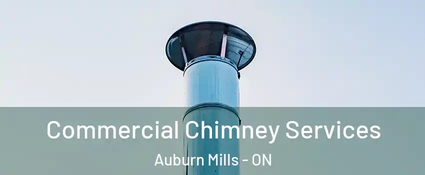 Commercial Chimney Services Auburn Mills - ON