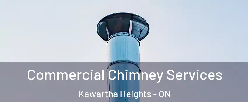  Commercial Chimney Services Kawartha Heights - ON