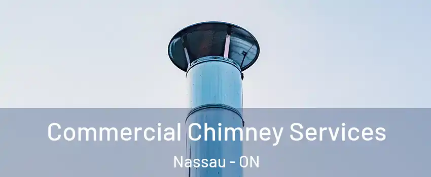  Commercial Chimney Services Nassau - ON