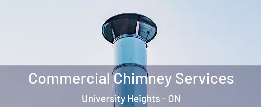 Commercial Chimney Services University Heights - ON