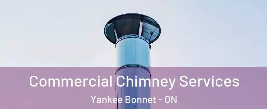  Commercial Chimney Services Yankee Bonnet - ON