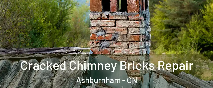 Cracked Chimney Bricks Repair Ashburnham - ON