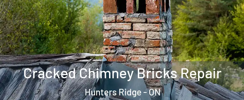 Cracked Chimney Bricks Repair Hunters Ridge - ON
