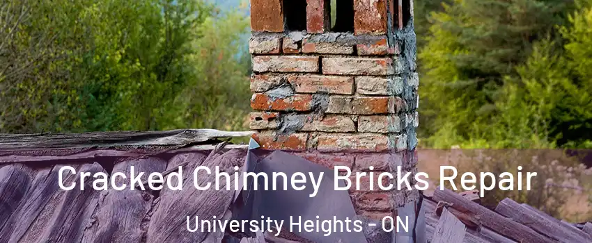  Cracked Chimney Bricks Repair University Heights - ON