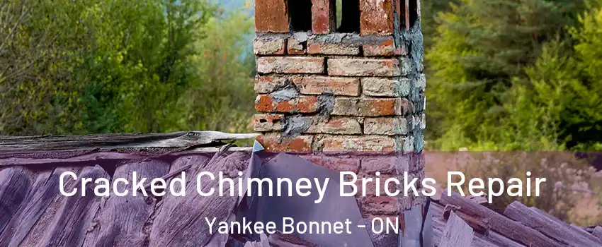  Cracked Chimney Bricks Repair Yankee Bonnet - ON