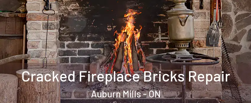 Cracked Fireplace Bricks Repair Auburn Mills - ON