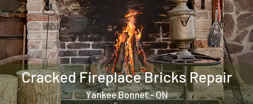  Cracked Fireplace Bricks Repair Yankee Bonnet - ON
