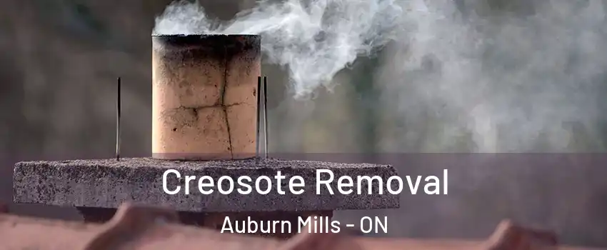  Creosote Removal Auburn Mills - ON