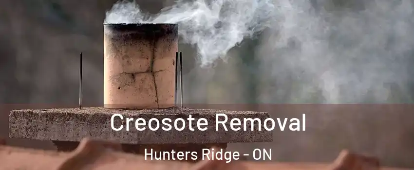 Creosote Removal Hunters Ridge - ON