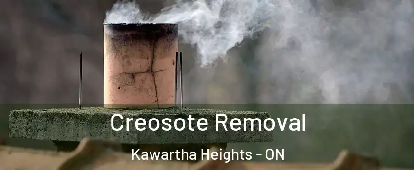 Creosote Removal Kawartha Heights - ON