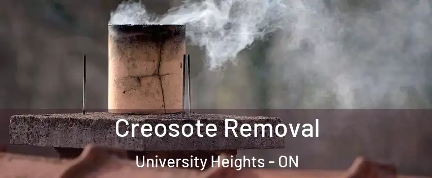 Creosote Removal University Heights - ON