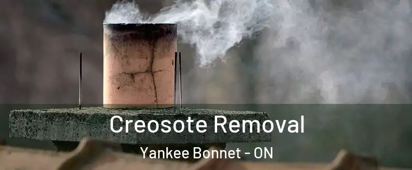 Creosote Removal Yankee Bonnet - ON
