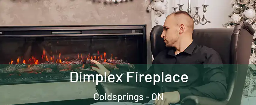 Dimplex Fireplace Coldsprings - ON