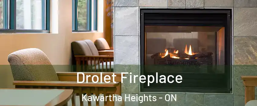  Drolet Fireplace Kawartha Heights - ON