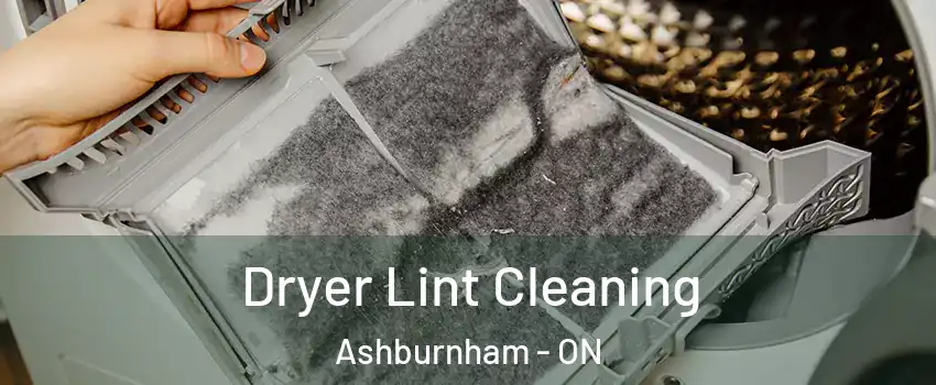  Dryer Lint Cleaning Ashburnham - ON