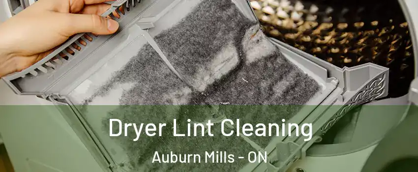  Dryer Lint Cleaning Auburn Mills - ON