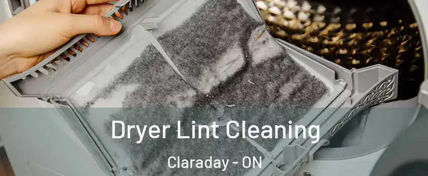  Dryer Lint Cleaning Claraday - ON