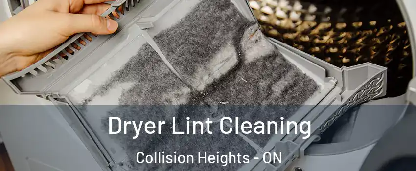  Dryer Lint Cleaning Collision Heights - ON