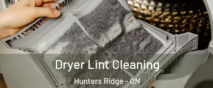  Dryer Lint Cleaning Hunters Ridge - ON